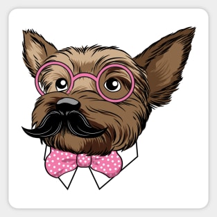 Yorkie Incognito Sticker